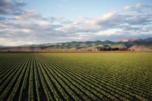 photo of green field near mountains